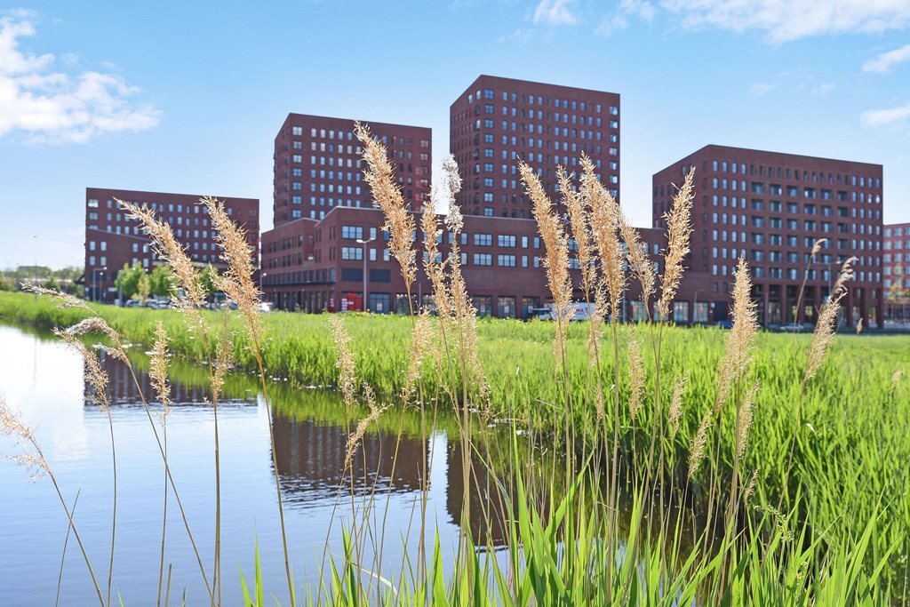 Mensen blij maken, daar gaat het om